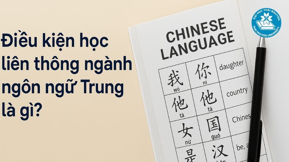 Điều kiện học liên thông ngành ngôn ngữ Trung là gì?