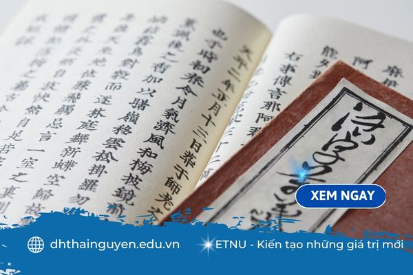 Có nên học ngành ngôn ngữ Trung không? Góc nhìn toàn diện dành cho người học