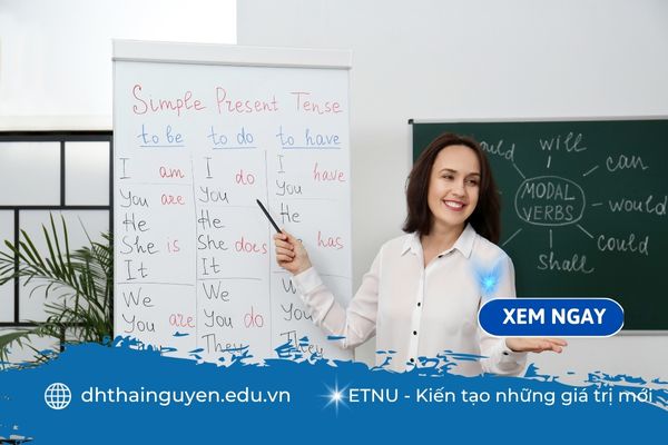 Học Ngôn ngữ Anh văn bằng 2: Cơ hội nghề nghiệp rộng mở trong thời đại hội nhập