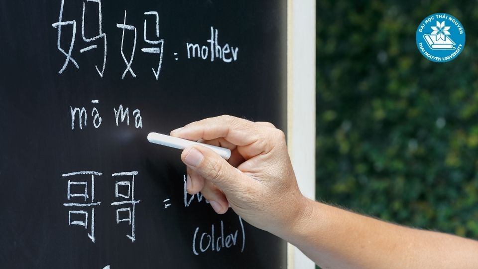 Lý do nên học ngành ngôn ngữ Trung trong thời đại hội nhập