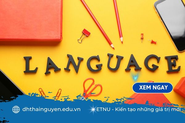 Ngành ngôn ngữ Trung lương bao nhiêu trong năm 2025