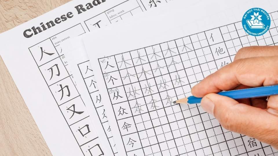 Ngành Ngôn ngữ Trung Quốc là gì?