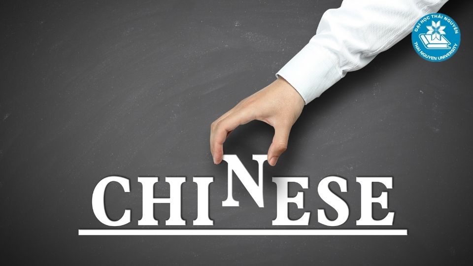 Văn bằng 2 ngôn ngữ Trung online có phù hợp với người đi làm?