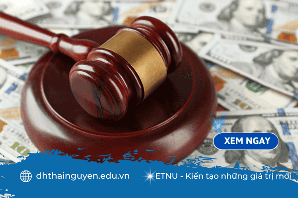 Các chuyên ngành luật: Khám phá lộ trình phù hợp cho tương lai nghề nghiệp