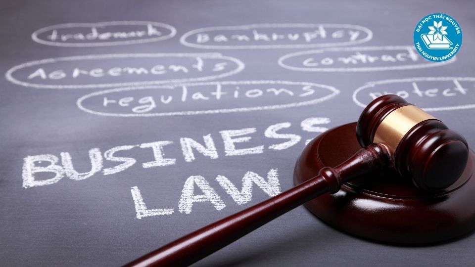 Các chuyên ngành luật phổ biến hiện nay tại Việt Nam