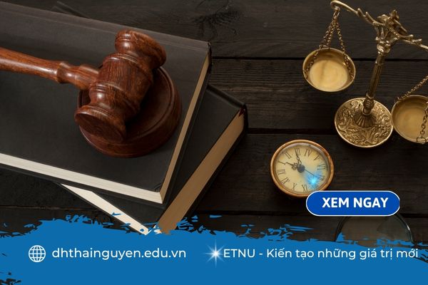 Các trường đào tạo ngành luật: Tất tần tật những điều bạn cần biết