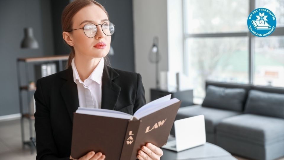 Học ngành luật có dễ xin việc không?