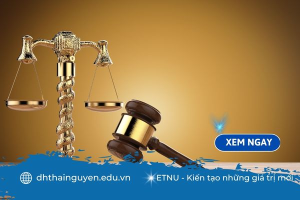 Có nên học luật không? Góc nhìn toàn diện cho người đang phân vân