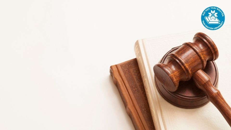Triển vọng nghề nghiệp sau khi học ngành luật