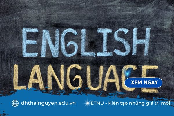 Đào tạo từ xa ngôn ngữ Anh: Giải pháp học tập linh hoạt thời đại số