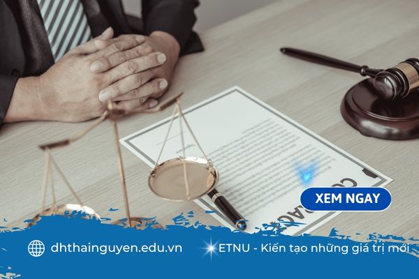 Luật kinh tế học trường nào ở TPHCM để có chất lượng đào tạo tốt