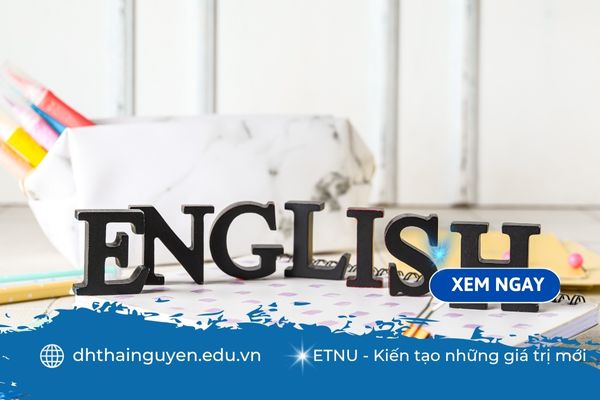 Lương ngành ngôn ngữ Anh: thu nhập có thật sự “hấp dẫn” như lời đồn?