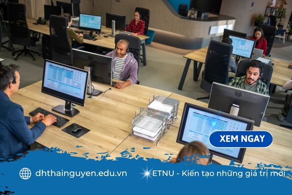 Nên học chuyên ngành nào của công nghệ thông tin để dễ xin việc