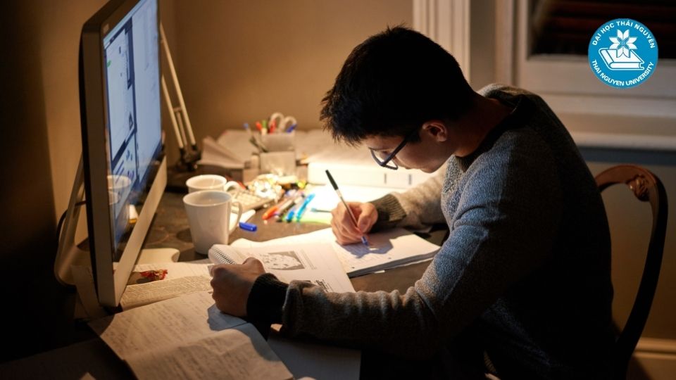 Các môn chuyên ngành định hướng nghề nghiệp