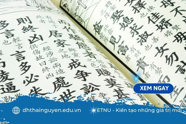Ngành ngôn ngữ Trung làm nghề gì? Khám phá cánh cửa sự nghiệp rộng mở