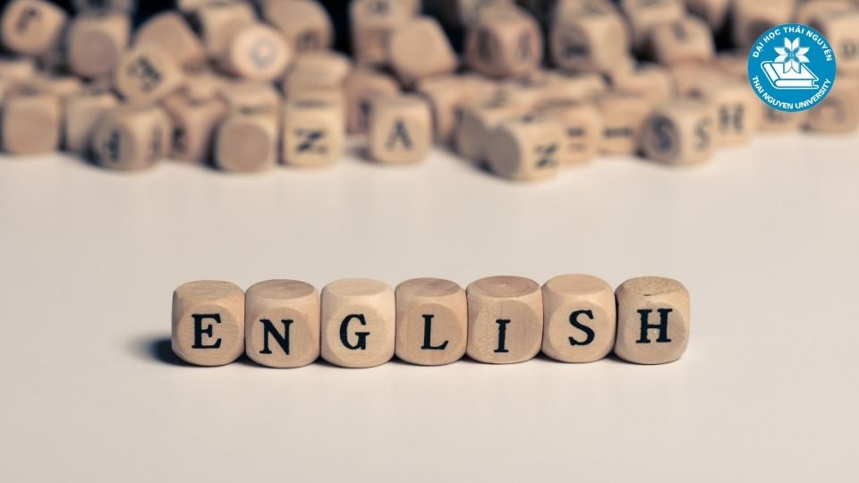 Những yếu tố cần chuẩn bị để thành công trong ngành ngôn ngữ Anh