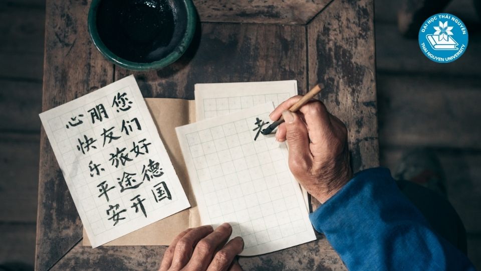 Các tiêu chí lựa chọn trường đào tạo ngôn ngữ Trung ở TPHCM