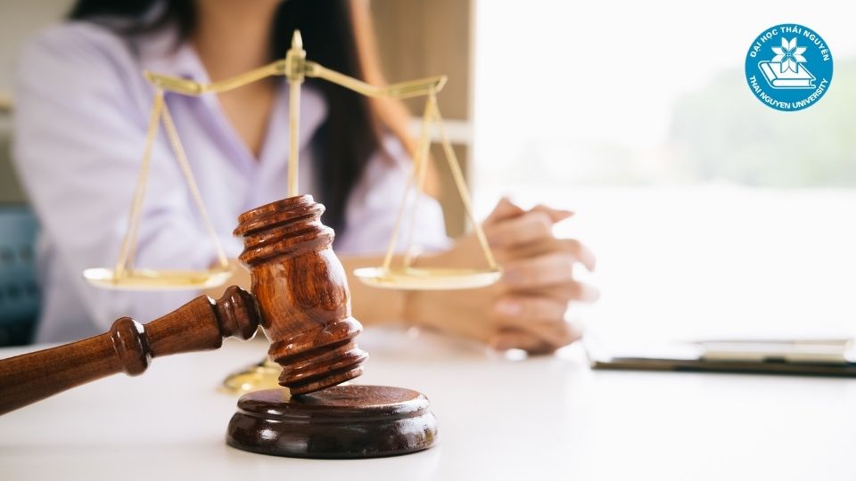 Lợi ích vượt trội khi học văn bằng 2 luật kinh tế