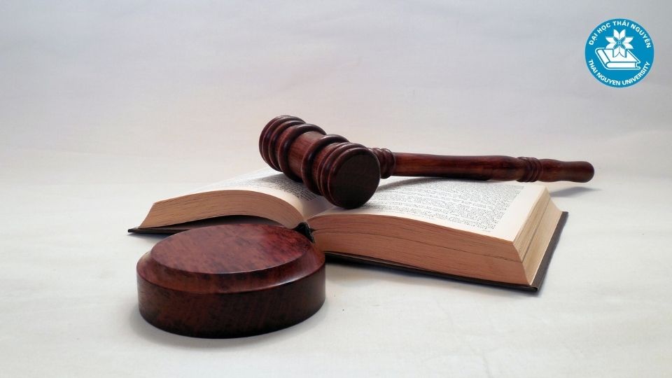 Những lưu ý quan trọng khi lựa chọn trường đào tạo văn bằng 2 luật kinh tế