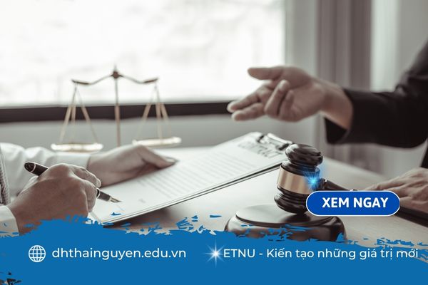 Văn bằng 2 luật kinh tế: Lựa chọn thông minh để nâng tầm sự nghiệp