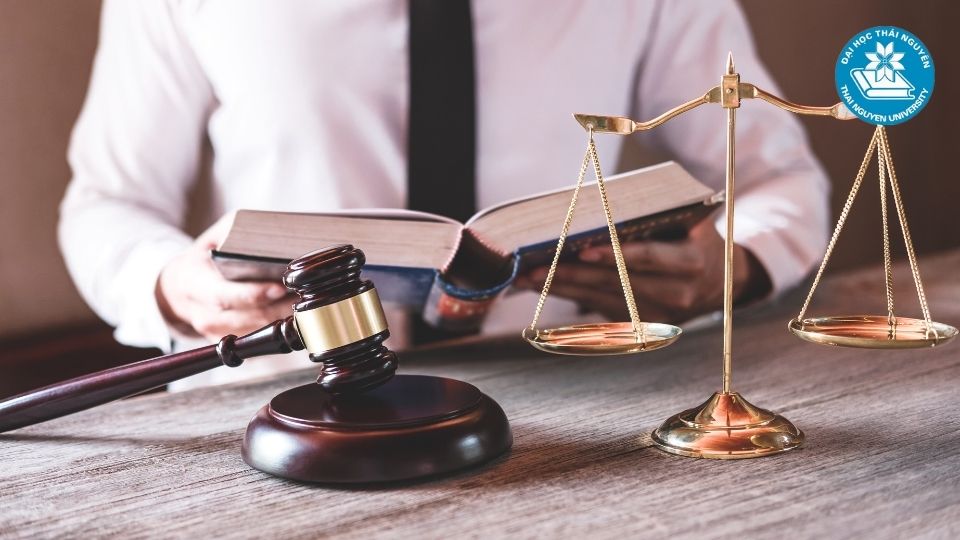 Văn bằng 2 luật kinh tế là gì và dành cho ai?