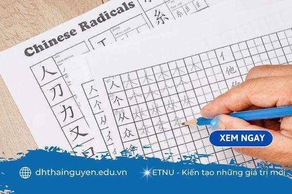 Giải đáp: Học ngôn ngữ Trung có cần học tiếng Anh không