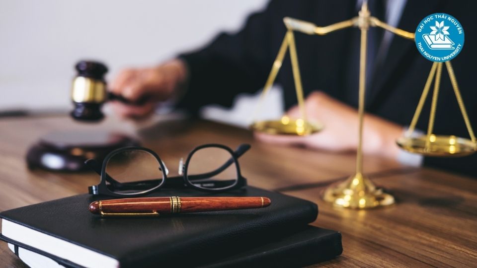 Nên học ngành luật nào để có cơ hội phát triển sự nghiệp?