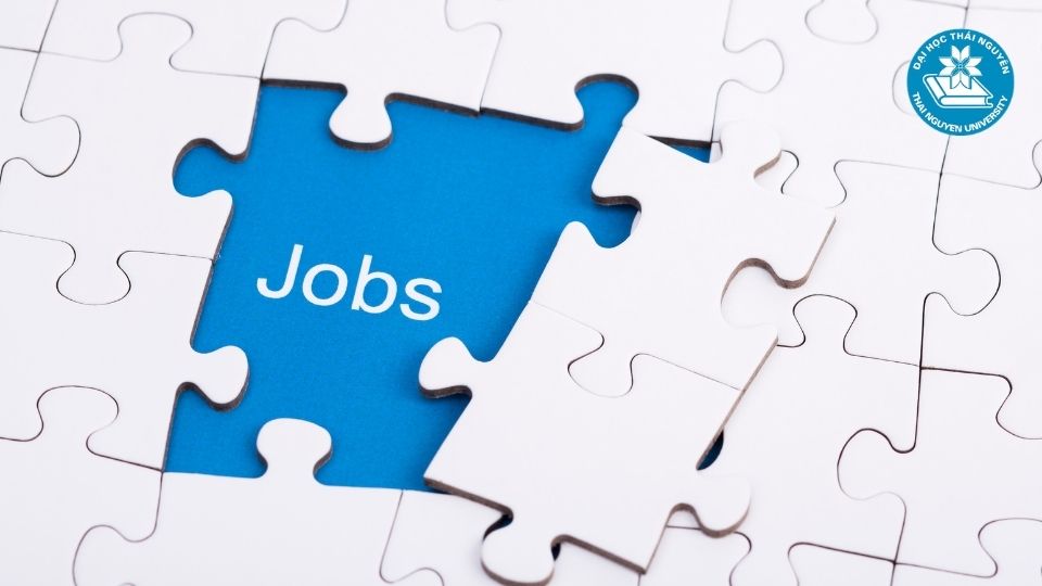 Cơ hội việc làm khi theo học công nghệ thông tin