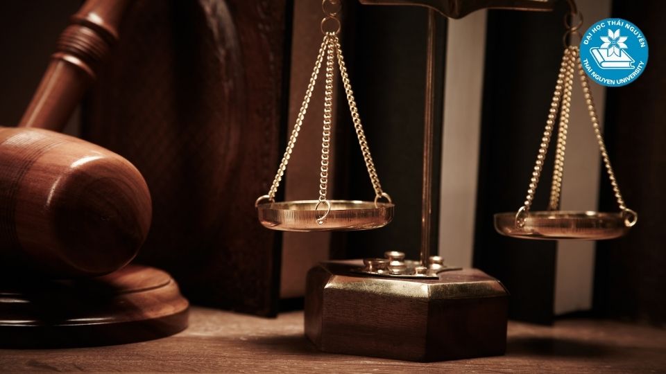 Định hướng phát triển cho sinh viên ngành luật kinh tế