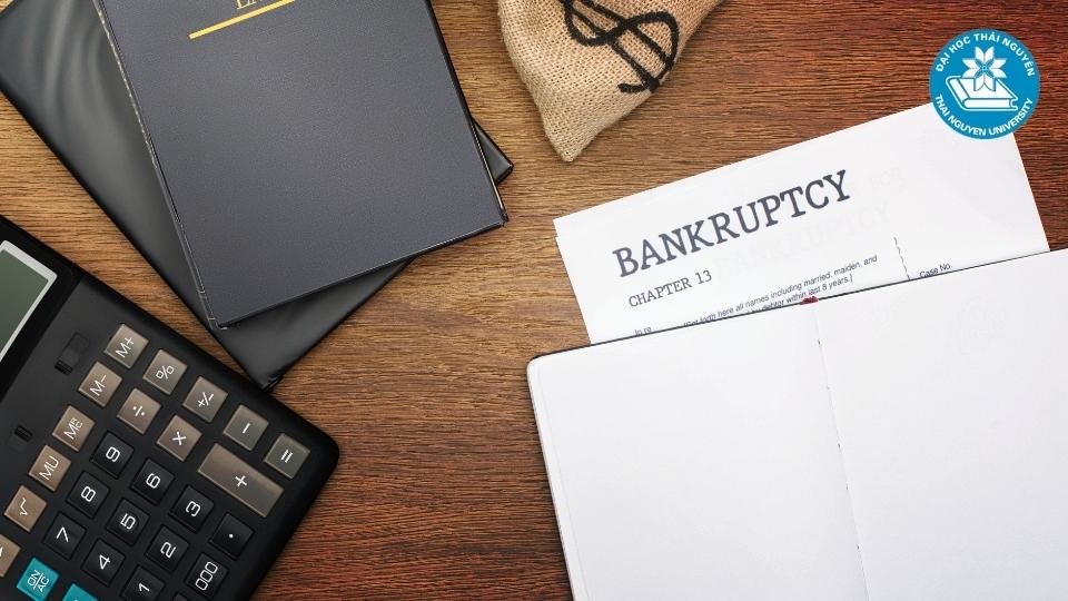 Học luật kinh tế có làm luật sư được không