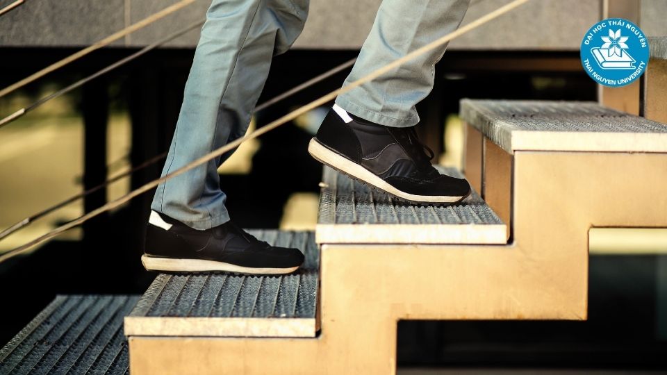 Lộ trình học văn bằng 2 luật online