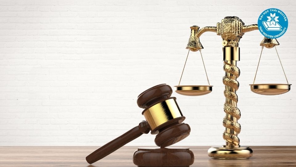 Các hình thức học ngành luật kinh tế phổ biến hiện nay