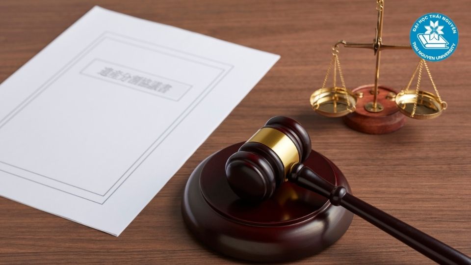 Ngành luật kinh tế học những môn gì trong chương trình đào tạo