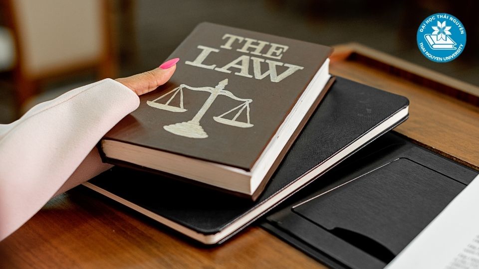 Mức lương ngành luật kinh tế hiện nay