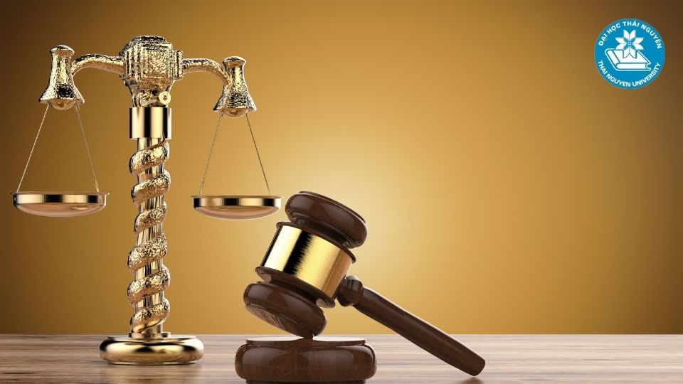 Học ngành luật kinh tế ở đâu để có mức lương cao