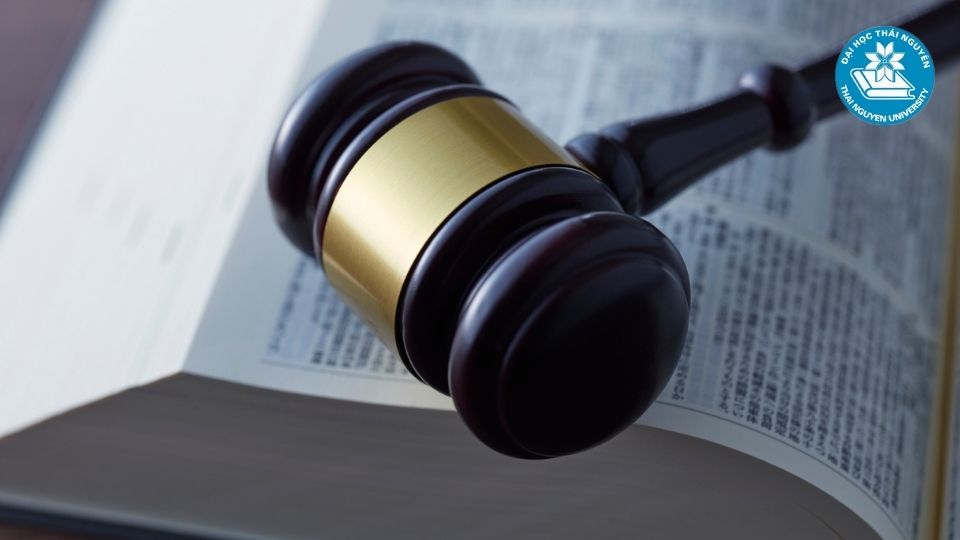 Các yếu tố cần cân nhắc khi chọn trường học luật kinh tế tại Hà Nội