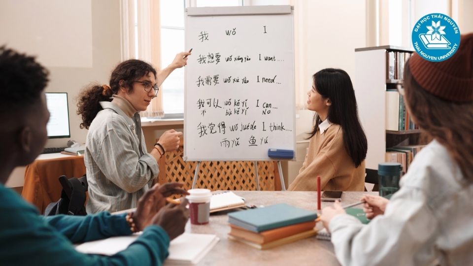 Những tiêu chí cần xem xét khi lựa chọn cơ sở đào tạo ngôn ngữ