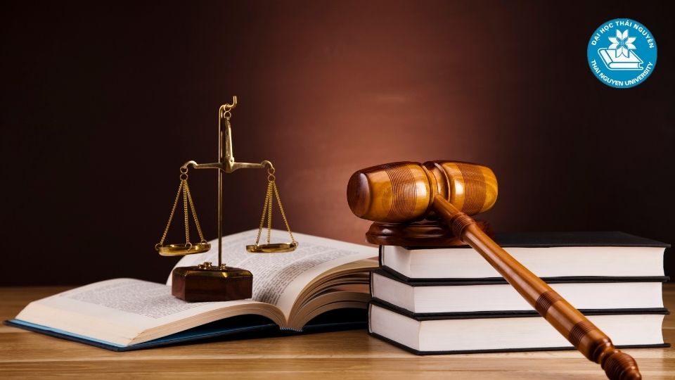 Các hình thức học ngành luật phổ biến