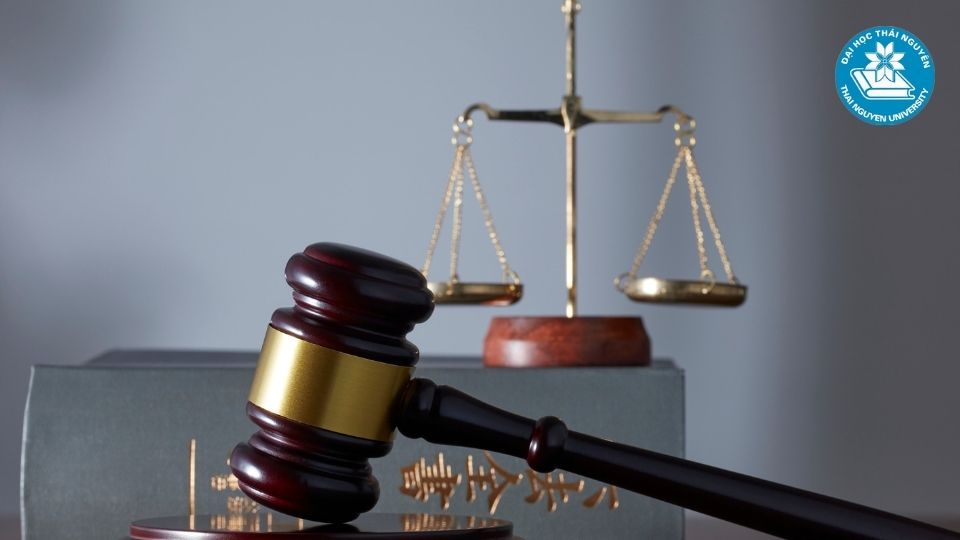 Những cơ hội nghề nghiệp rộng mở từ ngành luật