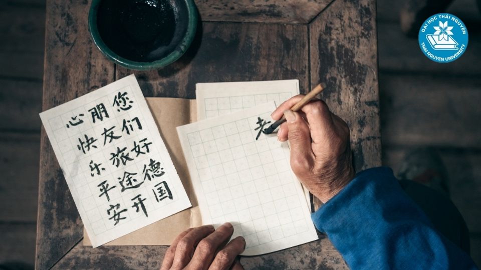 Các trường có ngành Ngôn ngữ Trung uy tín và chất lượng tại Việt Nam