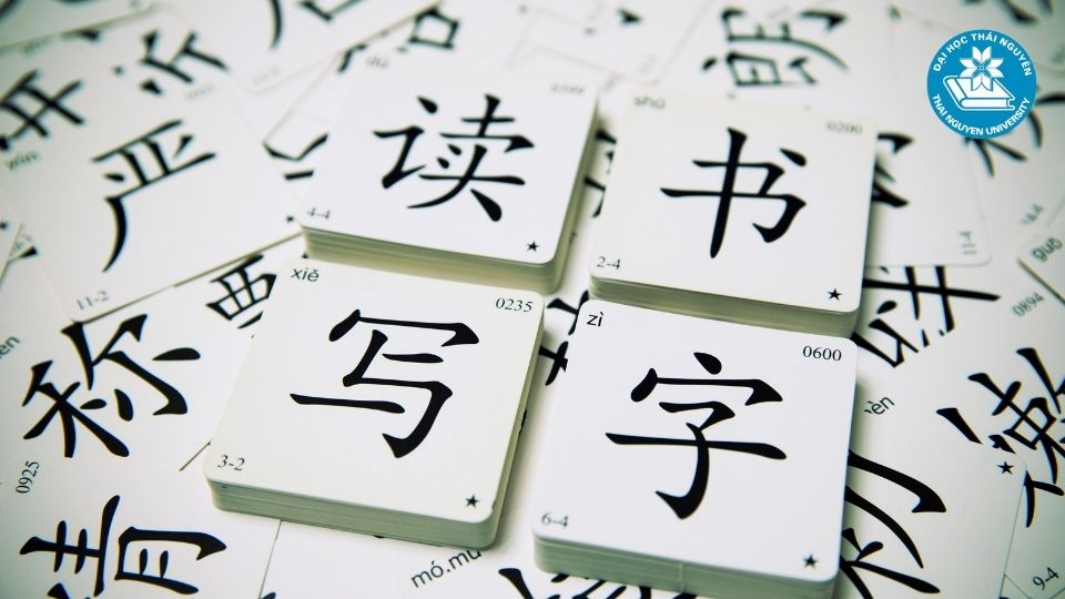 Tổng quan về ngành Ngôn ngữ Trung và xu hướng học hiện nay