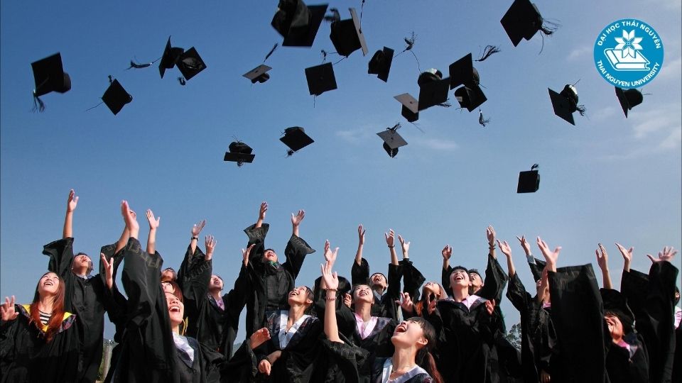 Các ngành nghề phổ biến khi liên thông lên đại học