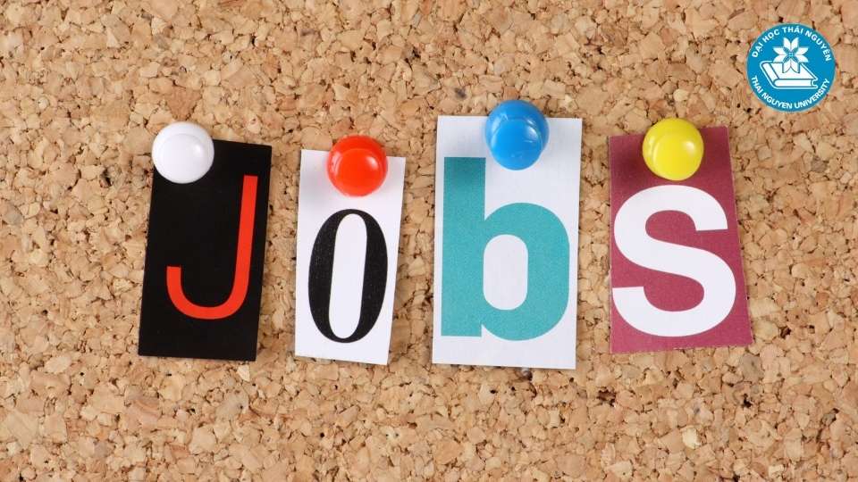 Cơ hội nghề nghiệp ngành công nghệ thông tin tại Việt Nam