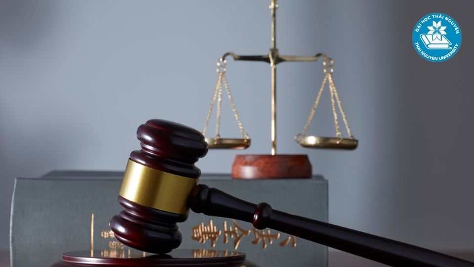 Học luật kinh tế ra làm gì và cơ hội việc làm sau khi tốt nghiệp