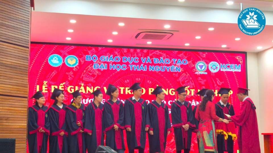 Học ngành ngôn ngữ Anh theo hệ từ xa tại đại học Thái Nguyên