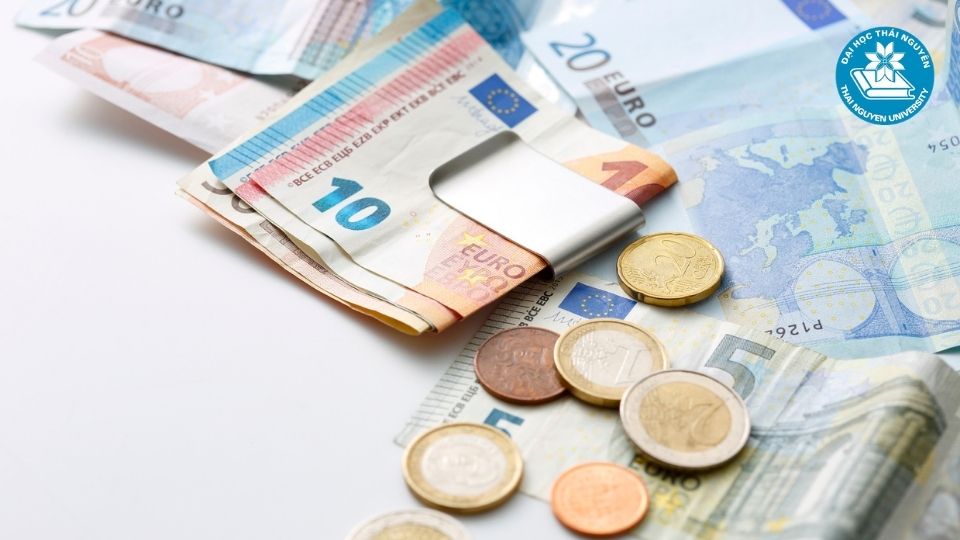 Luật kinh tế có dễ xin việc không? câu trả lời thực tế cho người học