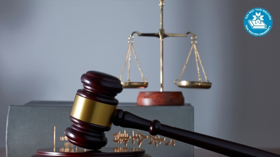 Cơ hội nghề nghiệp sau khi tốt nghiệp ngành luật kinh tế