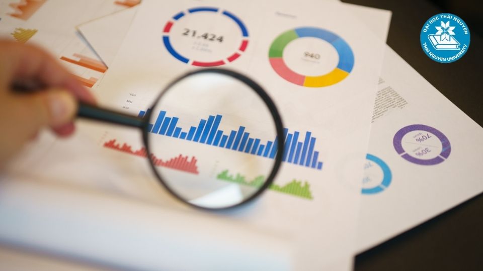 Những con số thống kê ấn tượng về ngành ngôn ngữ Anh tại Việt Nam