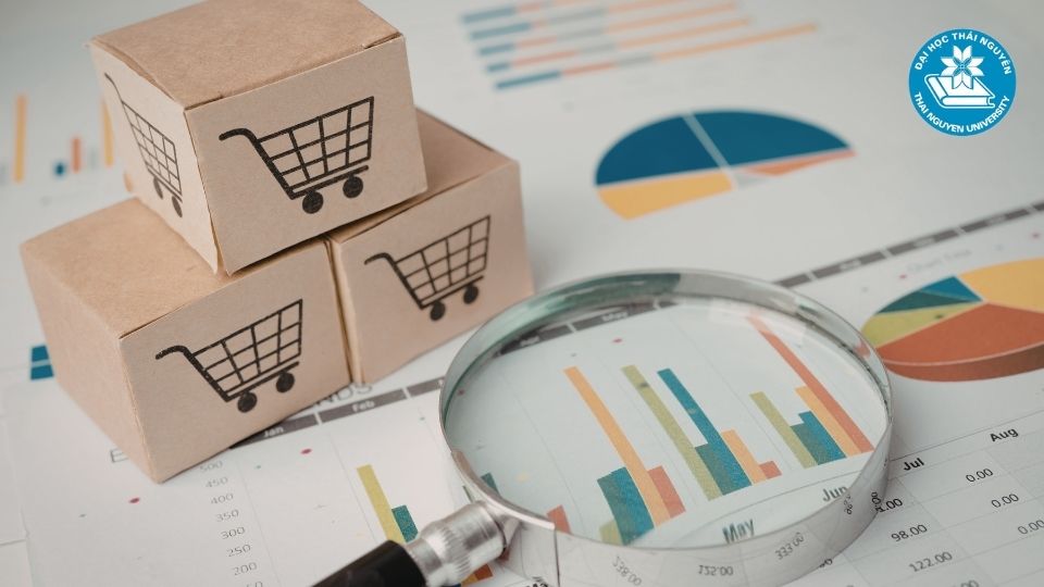 Ngành thương mại điện tử ra trường làm gì và những vị trí công việc phổ biến