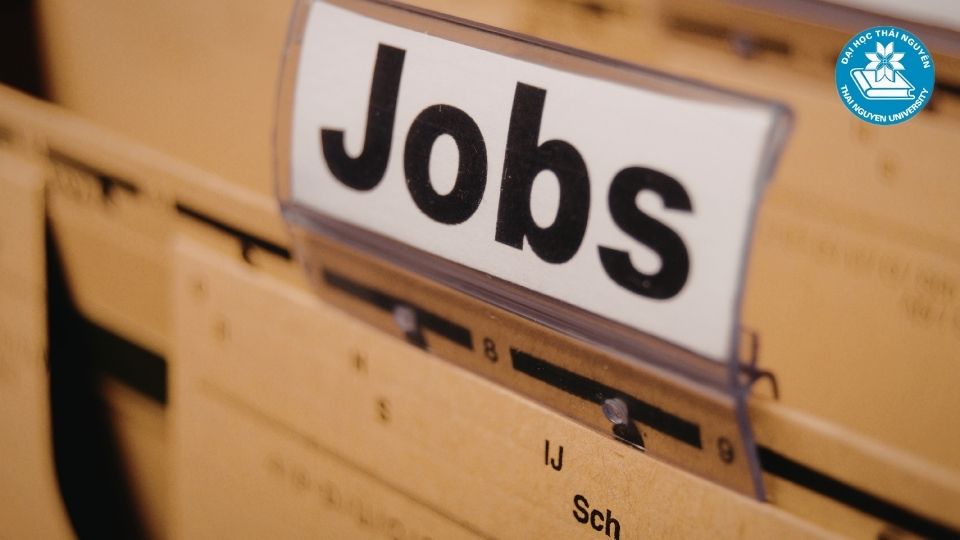 Học thương mại điện tử ra trường làm gì, cơ hội việc làm ra sao?